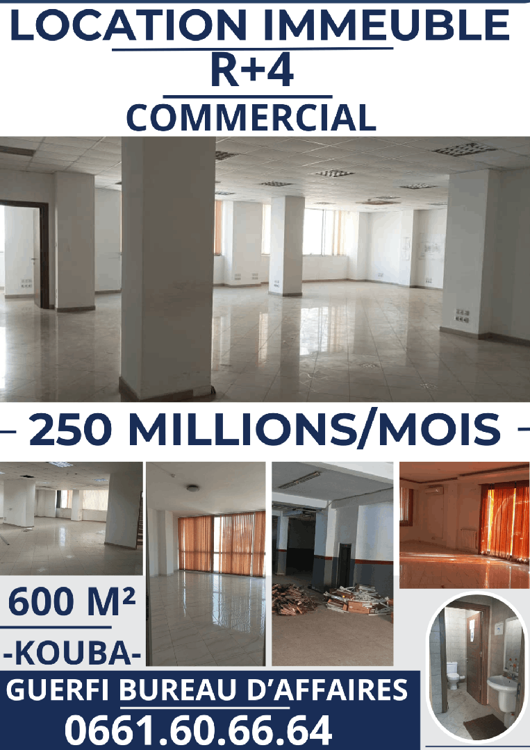 LOCATION VILLA R+4 COMMERCIAL