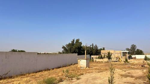 Parc agricole semi-aménagé de 7465 m² à Sidi Khettab (Relizane)