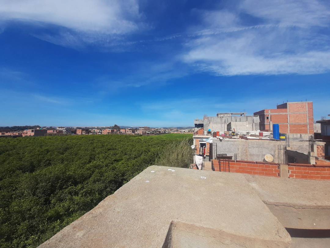 Vente villa à Boufarik (Ben Hamdane)