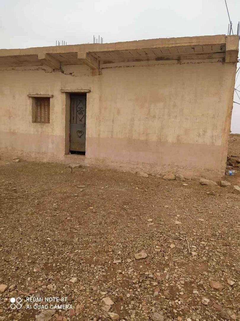 Terrain à de 13 HECTARES à vendre – Hassi Fedoul, Wilaya de Djelfa