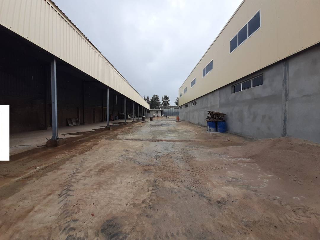 Loue à Ouled Fayet un hangar industriel