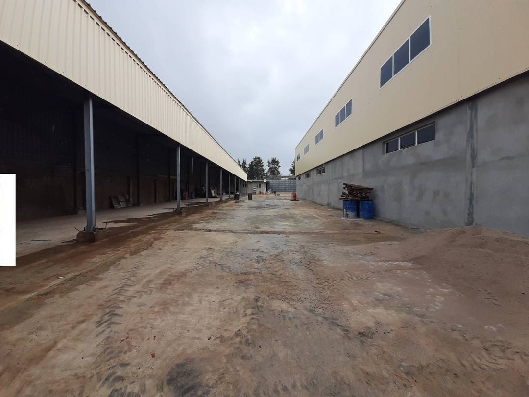 Loue à Ouled Fayet un hangar industriel 