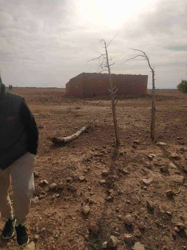 Terrain à de 13 HECTARES à vendre – Hassi Fedoul, Wilaya de Djelfa