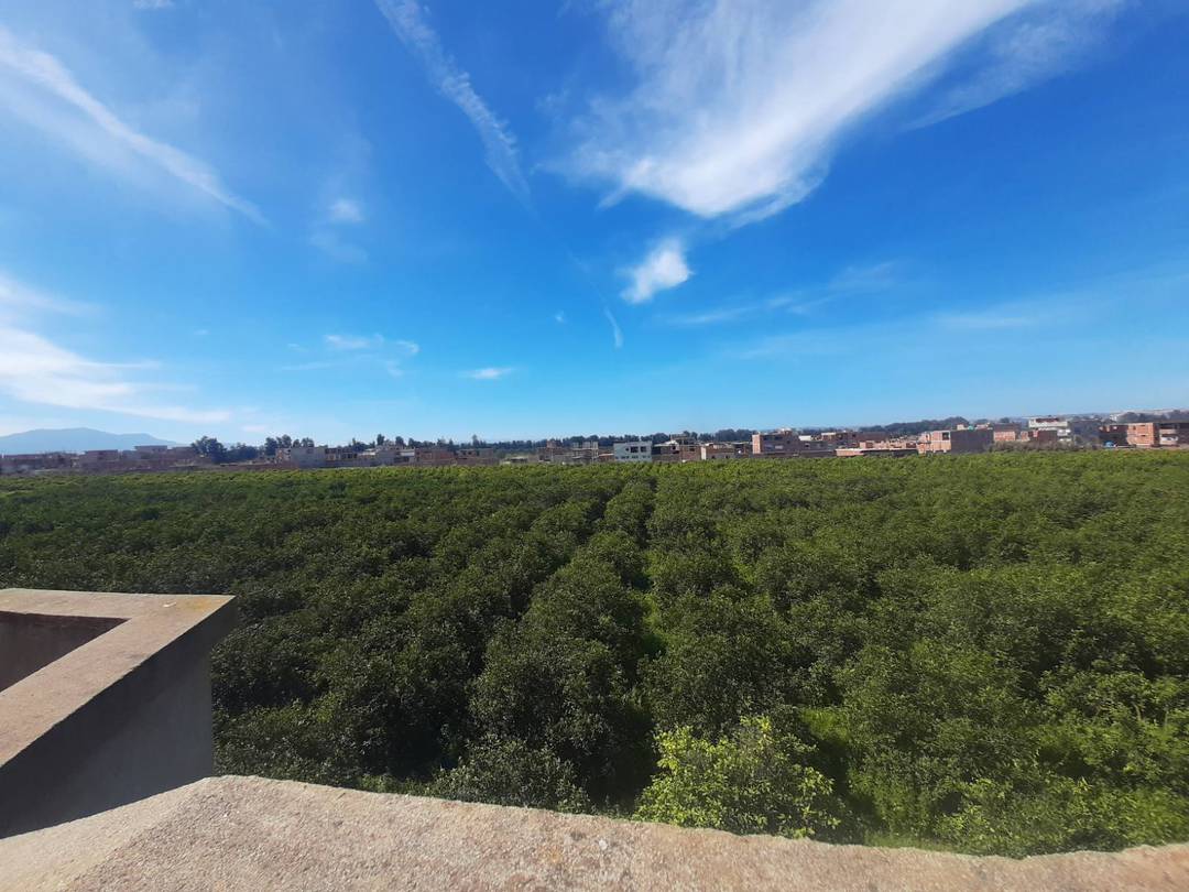 Vente villa à Boufarik (Ben Hamdane)