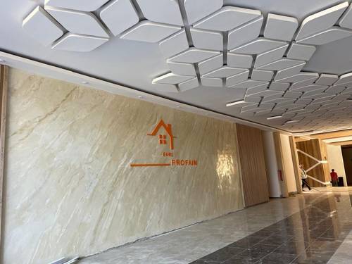 F3 RESIDENCE NIE D'ABEILLE 