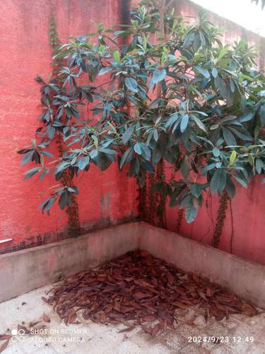 Vente appartement type F3 ayant une cour de 43 m2