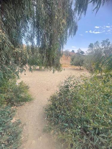 قطعة أرض للبيع بمساحة 27.5 آر في بلدية عريب (المهارة) - ولاية عين الدفلى