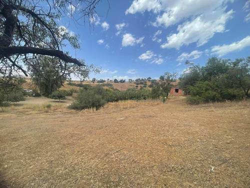 قطعة أرض للبيع بمساحة 27.5 آر في بلدية عريب (المهارة) - ولاية عين الدفلى