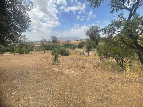 قطعة أرض للبيع بمساحة 27.5 آر في بلدية عريب (المهارة) - ولاية عين الدفلى