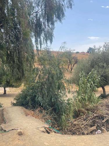 قطعة أرض للبيع بمساحة 27.5 آر في بلدية عريب (المهارة) - ولاية عين الدفلى