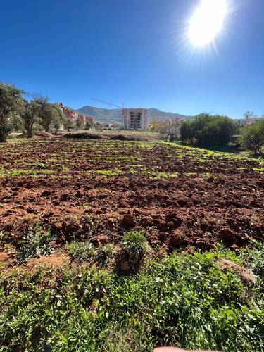 Vente lot terrain tlemcen nedroma 