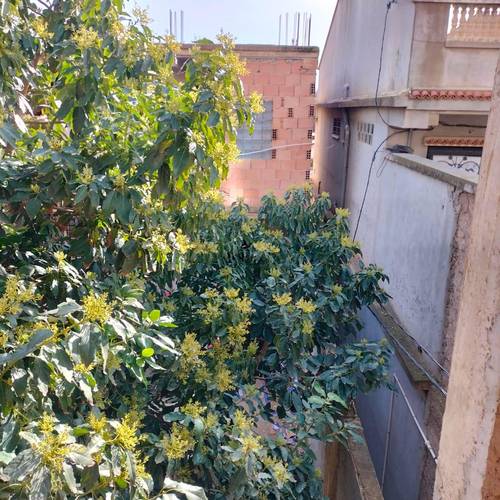 Vente villa à khraicia 