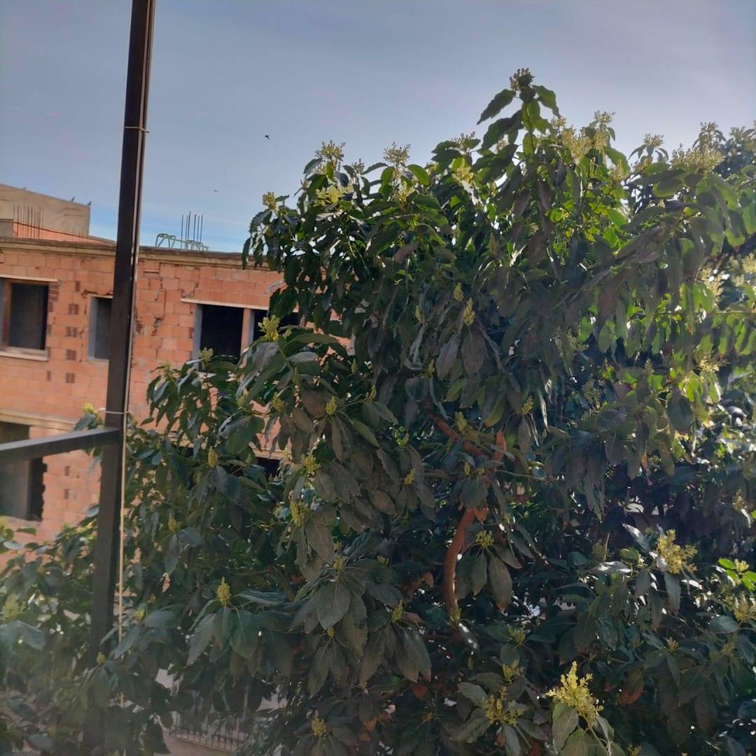 Vente villa à khraicia 