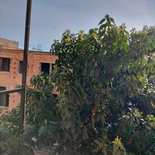 Vente villa à khraicia 