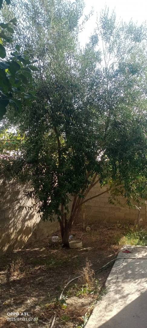 للبيع مسكن فردي ط+1+ سطح في طور الإنجاز 