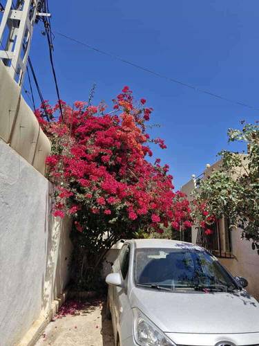 villa coloniale a cherchell