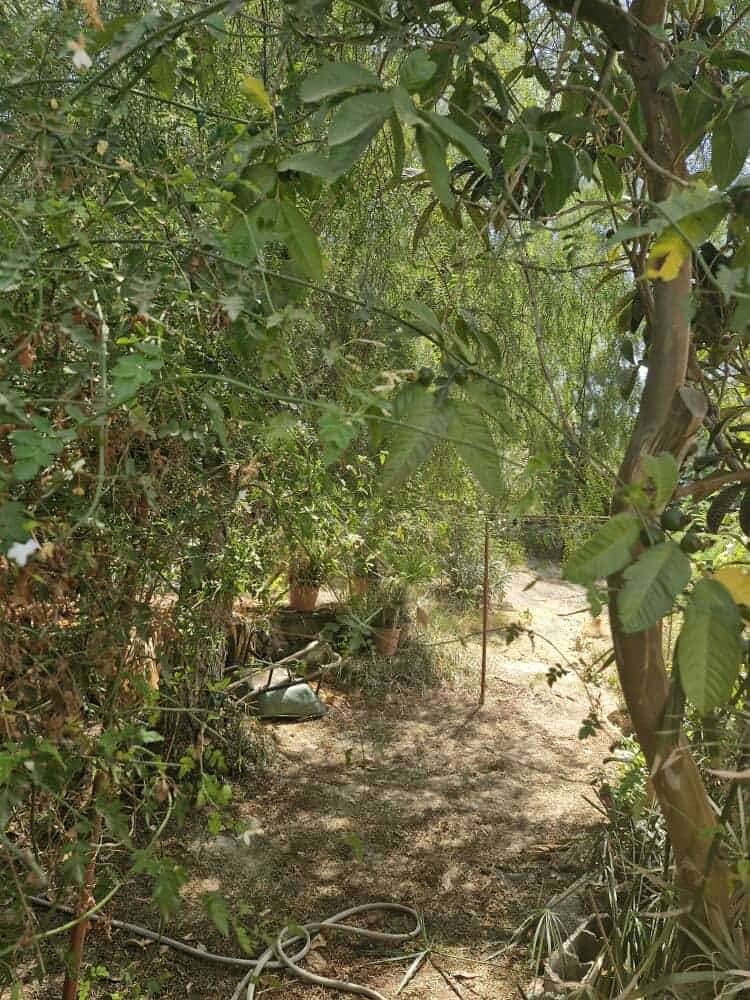 villa coloniale a cherchell