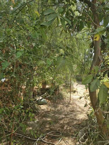 villa coloniale a cherchell