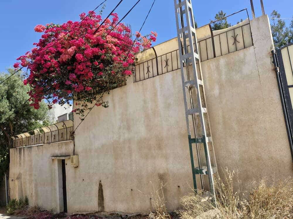 villa coloniale a cherchell