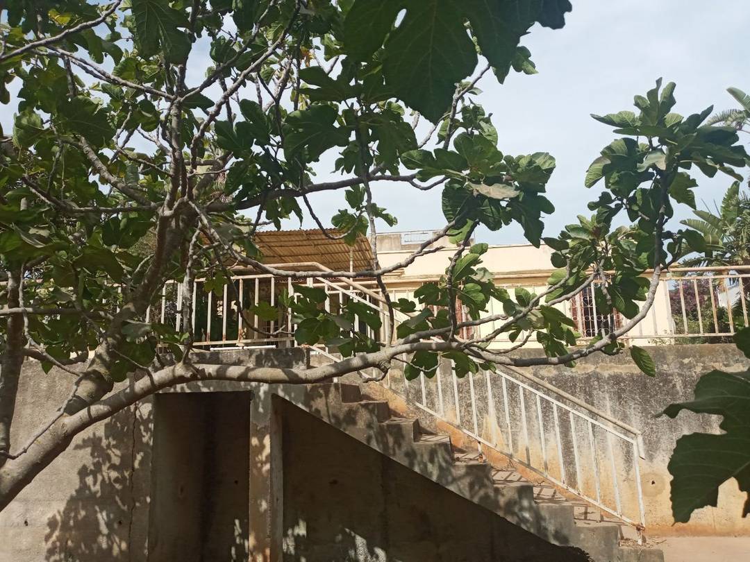 Vente Villa Alger Hydra