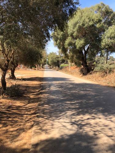 Vente terrain 15400m2