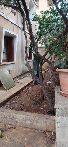 Vente villa à Baba Hassen 