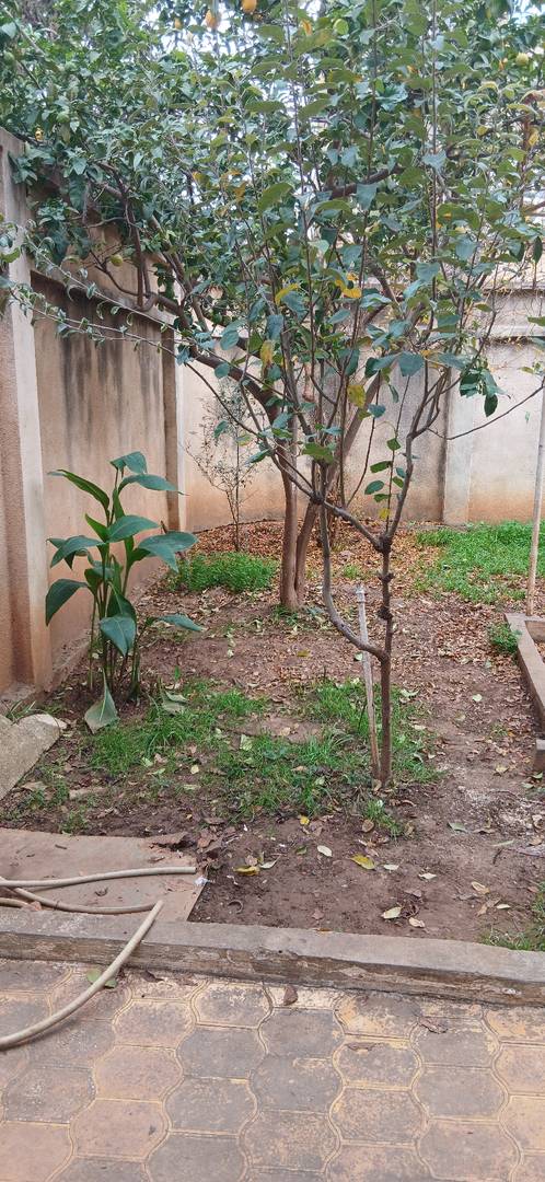 Vente villa à Baba Hassen 