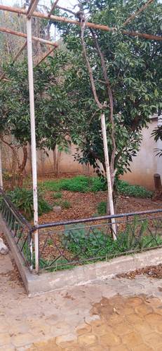 Vente villa à Baba Hassen 