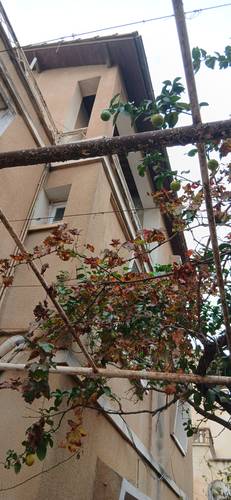 Vente villa à Baba Hassen 