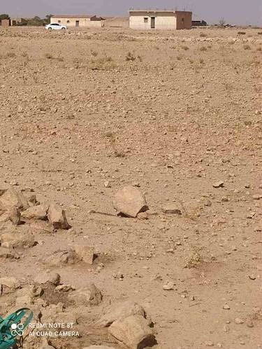 Terrain à de 13 HECTARES à vendre – Hassi Fedoul, Wilaya de Djelfa