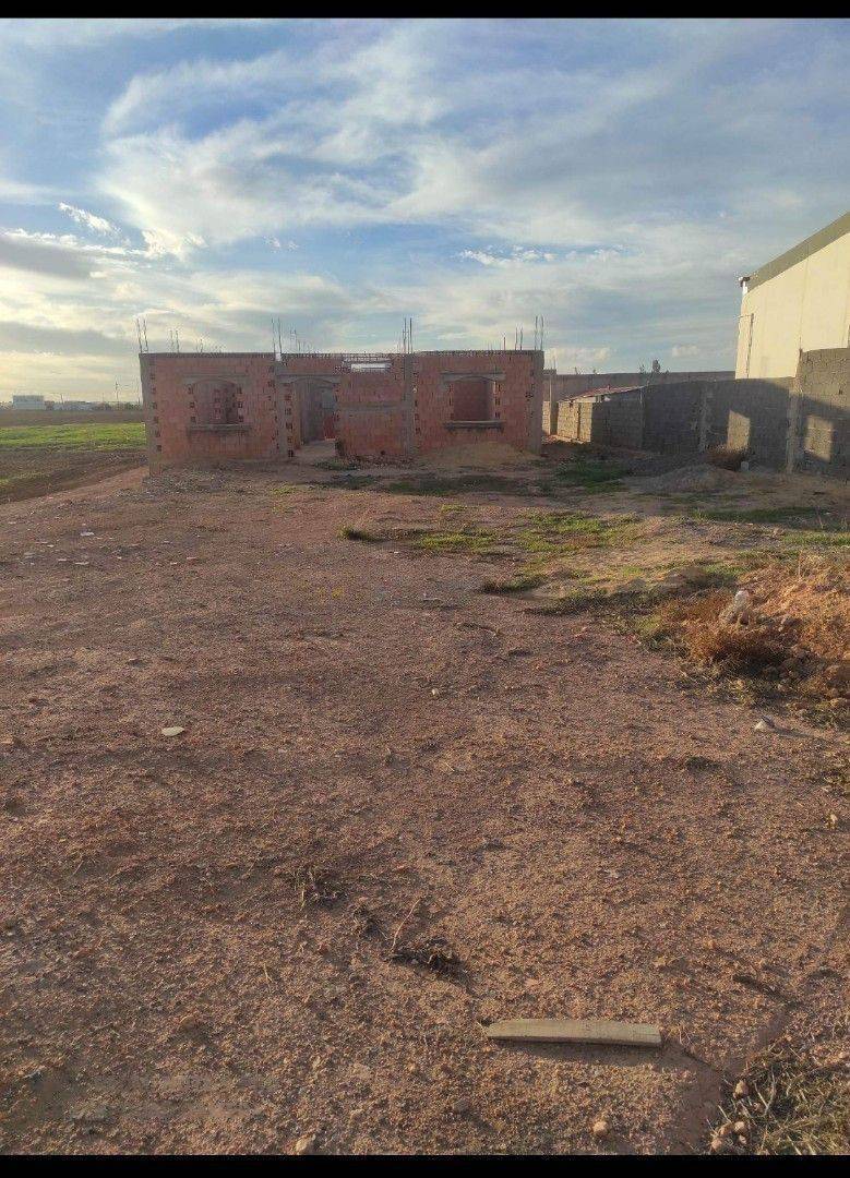 Vente terrain agricole sidi bel abbes 