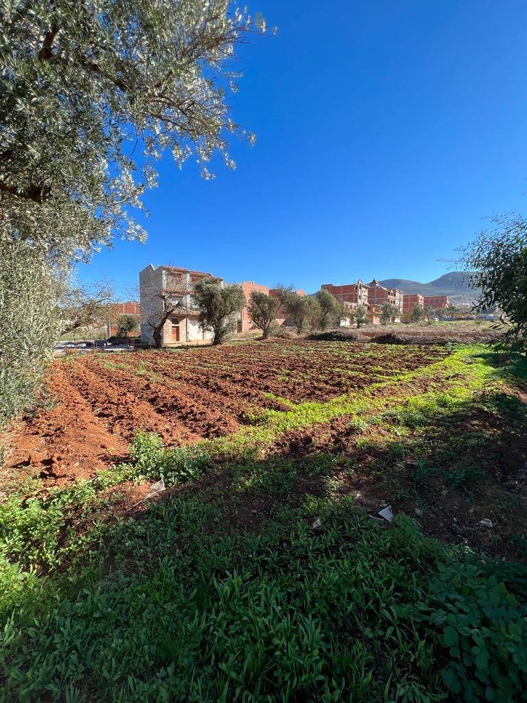 Vente lot terrain tlemcen nedroma 