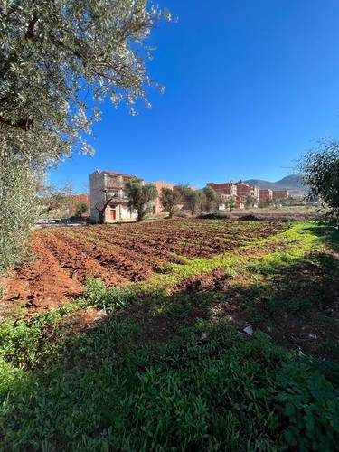 Vente lot terrain tlemcen nedroma 