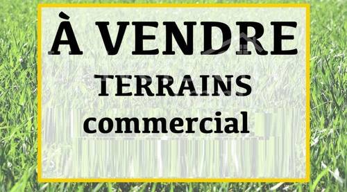 vend terrain kolea de 9000m²
