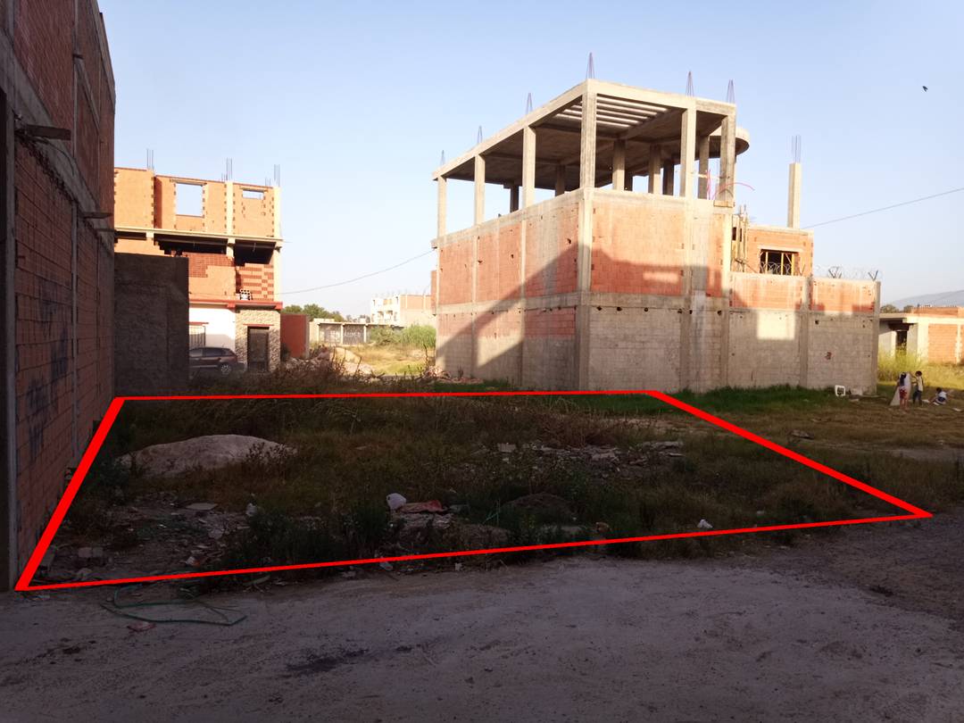 Vente terrain blida - ben khelil