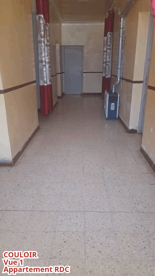 🏡 Maison 2 façades à vendre – Chabaat El Leham, Ain Témouchent (Algérie)