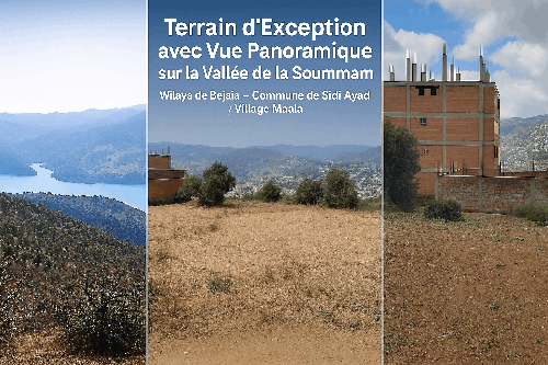 Terrain d’Exception avec Vue à Couper le Souffle sur la Vallée de la Soummam – Sidi-AYAD -Wilaya de Béjaïa