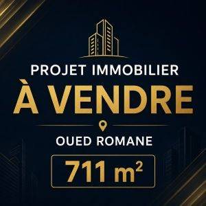 VENTE PROJET IMMOBILIER CLE EN MAIN