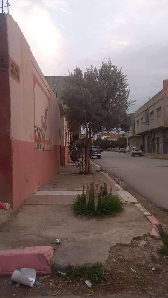 Grande maison à vendre à Gdyel, Oran – 488 m², 2 façades
