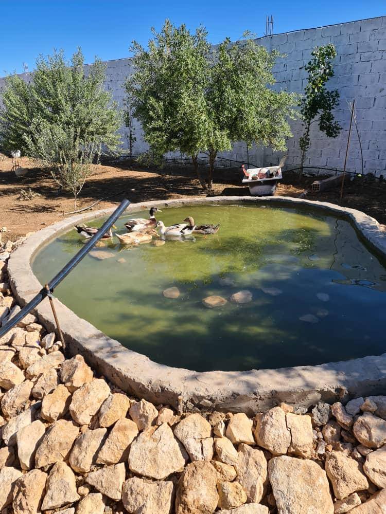 VENTE FERME DJELFA