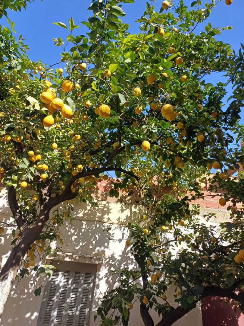 Immeuble R+3 à vendre