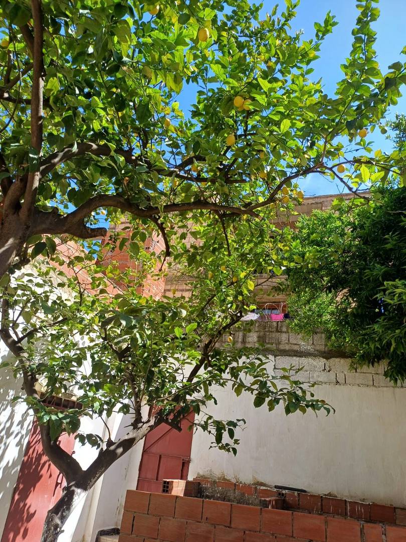 Immeuble R+3 à vendre