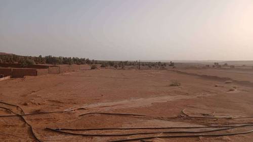 Terrain Timimoun 9000m²