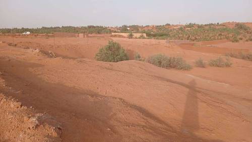 Terrain Timimoun 9000m²