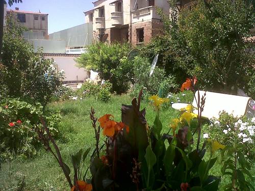 Villa au nouveau Palm Beach - 5min mer 