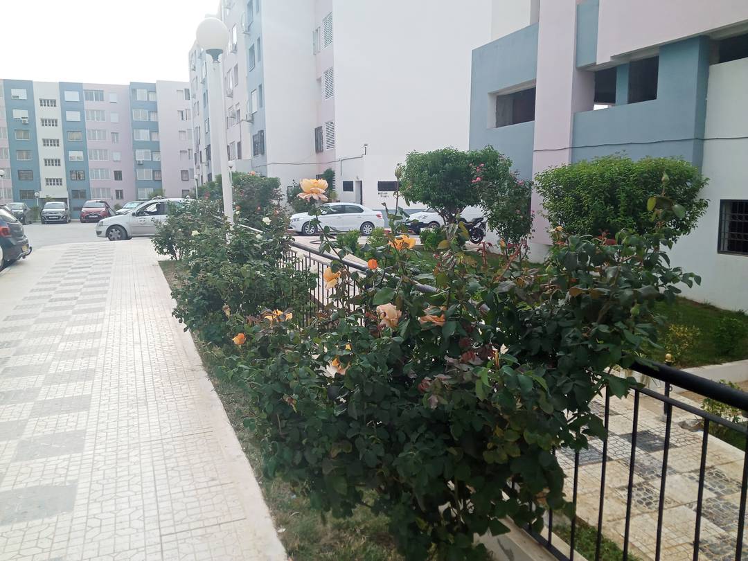 Vente appartement constantine