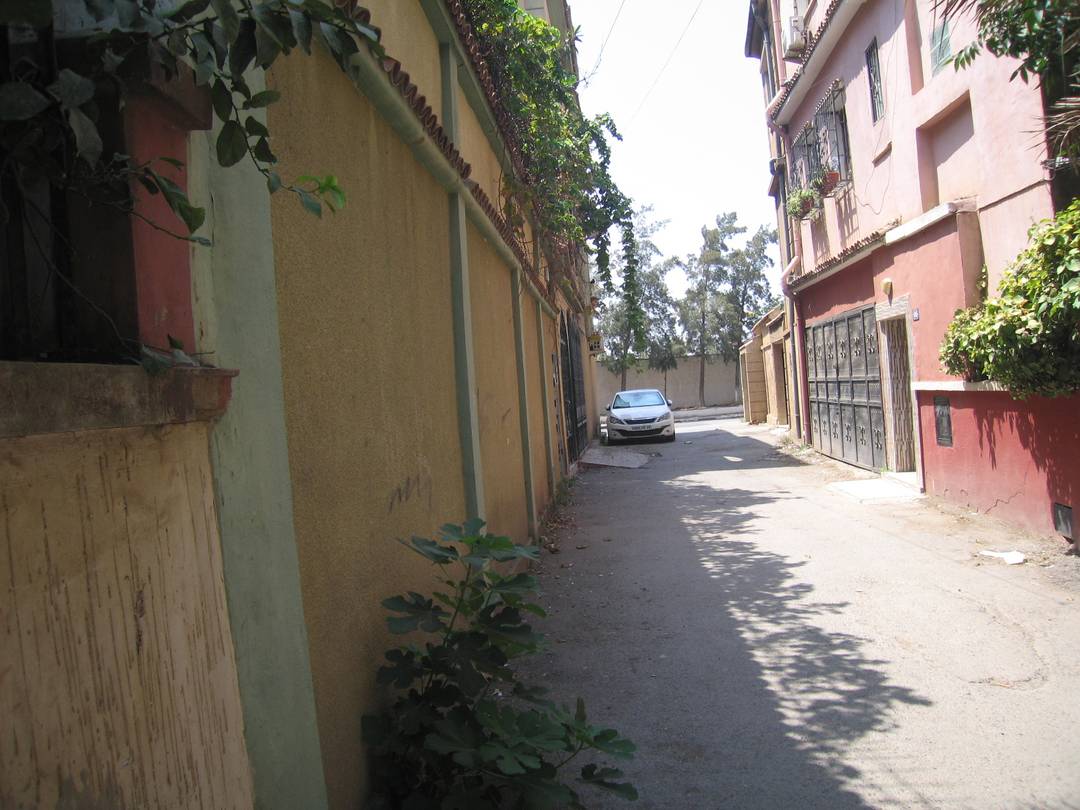 à vendre une belle villa 280m2 blida centre les rosiers en face l'ONALAIT