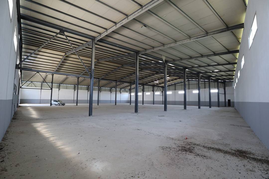 Agence loue à l’entrée de Khemis El Khechna un Hangar industriel de : 2800 M² couvert (en panneaux sandwichs) 