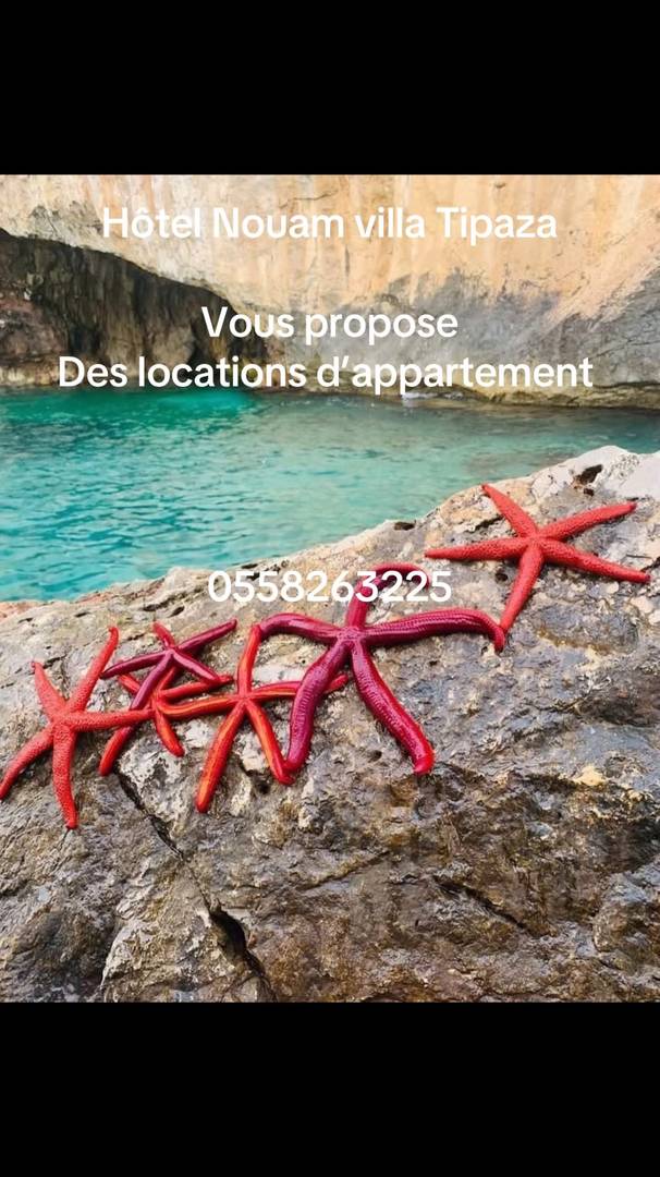 Location appartement en bord de mer Tipaza 