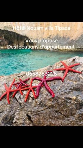Location appartement en bord de mer Tipaza 